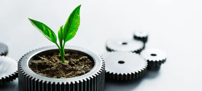 時間就是金錢「錢搵錢」要趁早